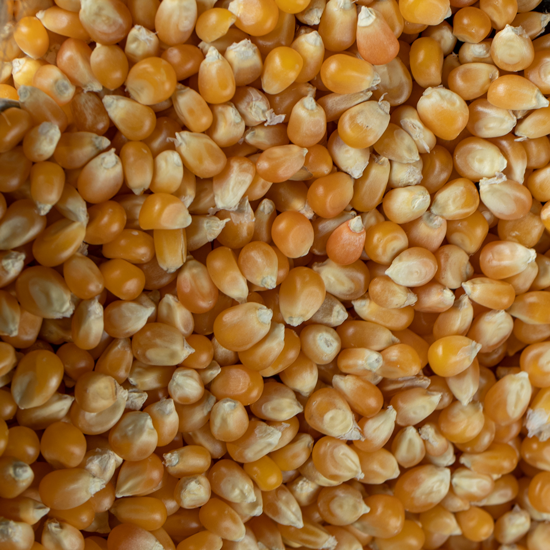 Pop corn baja expansión