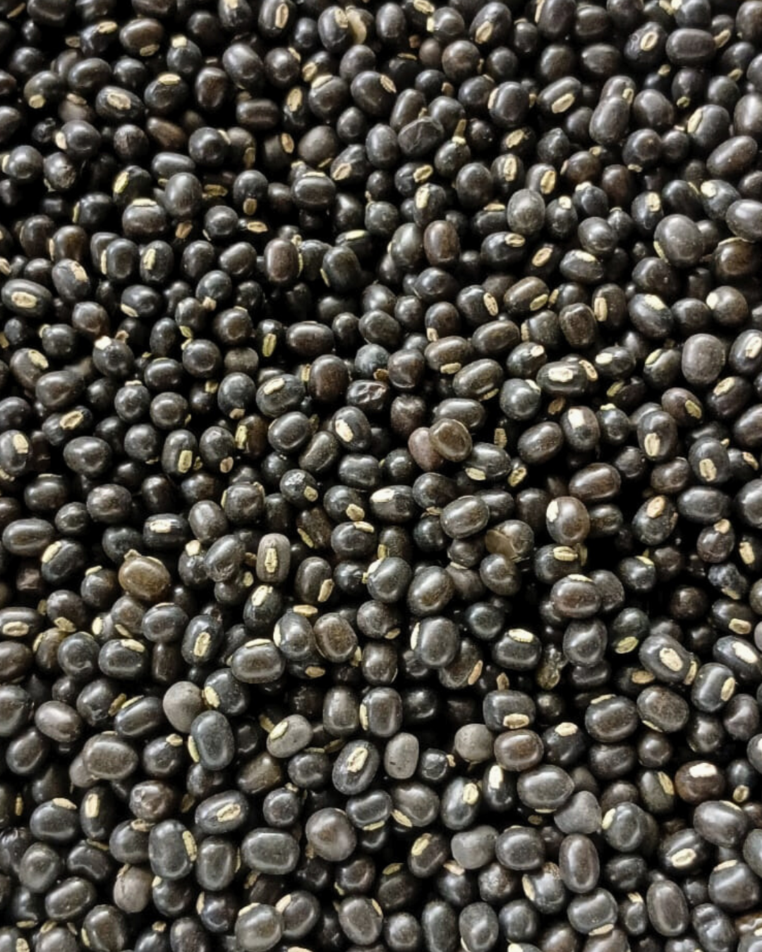 Black mapte